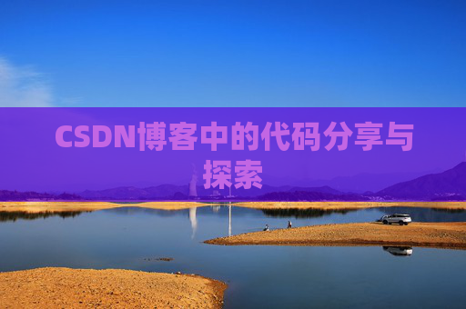 CSDN博客中的代码分享与探索